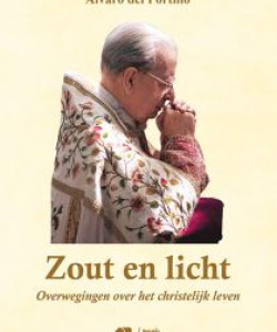 zout_en_licht