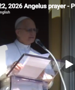 Schermafbeelding 2026-02-23 154934