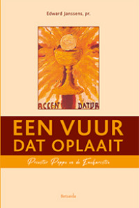 Boekomslag een vuur dat oplaait